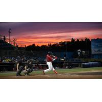 Rome Braves at bat