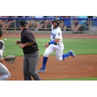 Biloxi Shuckers' Jeferson Quero in action