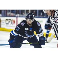 Jacksonville Icemen forward Brendan Harris