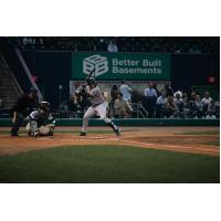 Somerset Patriots' Tyler Hardman in action