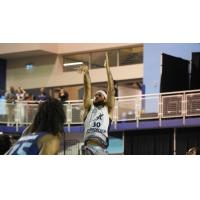 Scarborough Shooting Stars' Kassius Robertson in action