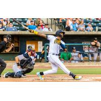 Charleston RiverDogs at bat