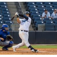 Tampa Tarpons at bat