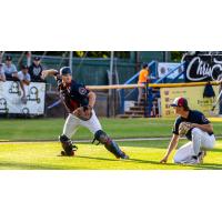 Victoria HarbourCats on game night