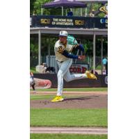 Wisconsin Timber Rattlers pitcher Edwin Jimenez