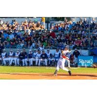 Victoria HarbourCats' Hudson Shupe at bat