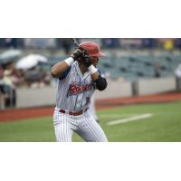 Green Bay Rockers' Carlos Hernandez at bat