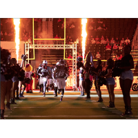 Jacksonville Sharks enter the field