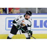 Utah Grizzlies defenseman Cory Thomas