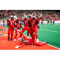 Jacksonville Sharks celebrate together