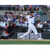 Somerset Patriots' Jasson Dominguez at bat