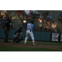 Tri-City Dust Devils' Matt Coutney at bat