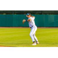 Charleston RiverDogs in action