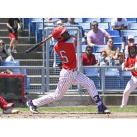 Ottawa Titans' Austin Davis at bat