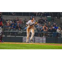 Somerset Patriots' Elijah Dunham in action