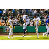 Charleston RiverDogs' Ryan Cermak celebrates win