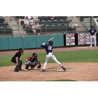 Tri-City Dust Devils infielder Werner Blakely at bat