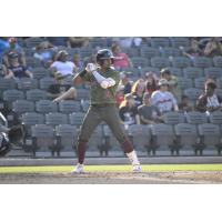 Fayetteville Woodpeckers' Luis Baez at bat