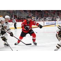 Forward Ethan Keppen with the Charlotte Checkers