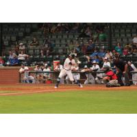 Evansville Otters' Noah Myers at bat