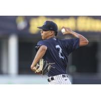 Tampa Tarpons' Yorlin Calderon in action