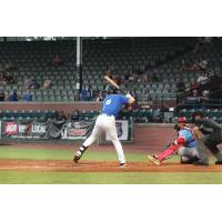 Evansville Otters' George Callil at bat