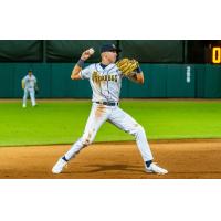 Charleston RiverDogs in action