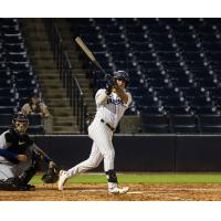 Tampa Tarpons on game night