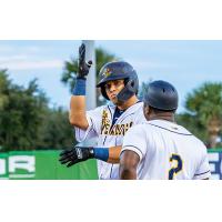 Charleston RiverDogs on game night