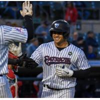 Outfielder Jasson Dominguez with the Somerset Patriots