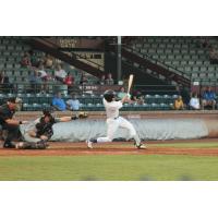 Evansville Otters at bat