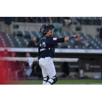 Somerset Patriots' Anthony Seigler on game night