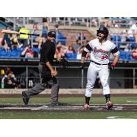 Washington Wild Things outfielder Anthony Brocato