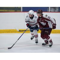 Ethan Toms of the Oshawa Generals  vs. Carson Cameron of the Peterborough Petes