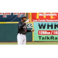 Hickory Crawdads outfielder Geisel Cepeda