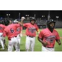 Fayetteville Woodpeckers' Pascanel Ferreras celebrates win