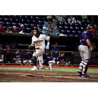 Pensacola Blue Wahoos in action