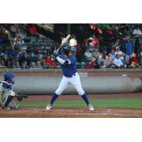 Evansville Otters at bat