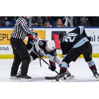 Kelowna Rockets' Lachlan Staniforth and Portland Winterhawks' Josh Zakreski in action