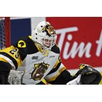 Goaltender Tristan Malboeuf with the Bulldogs