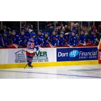 Kitchener Rangers' Matheas Stark congratulated by team