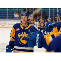 Saskatoon Blades celebrate win