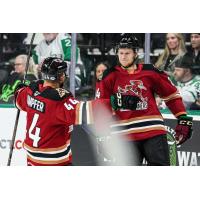 Tucson Roadrunners' Steven Kampfer and Jan Jenik on game night