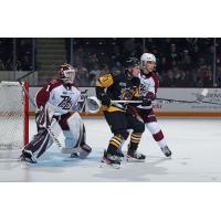 Peterborough Petes' Liam Sztuska and Brantford Bulldogs' Noah Nelson on game night