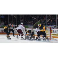 Peterborough Petes battle the Brantford Bulldogs