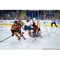 Springfield Thunderbirds' Adam Gaudette in action