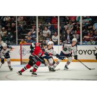 Kelowna Rockets battle the Tri-City Americans