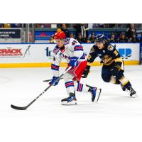 Kitchener Rangers' Filip Mesar and Erie Otters' Alexis Daviault in action