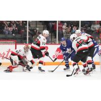 Belleville Senators' Lassi Thomson and Bokondji Imama battle the Toronto Marlies