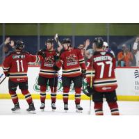 Tucson Roadrunners on game night